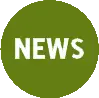Socialicon | Newsletter