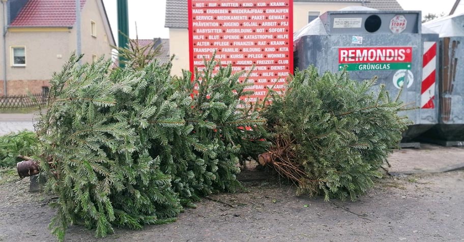 Tourenplan Weihnachtsbaumsammlung | Schmuckbild